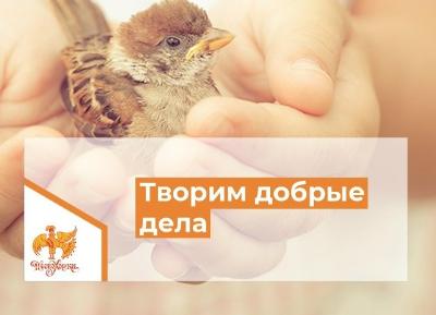 Центр эстетического воспитания «Песнохорки» ведет прием заявок на участие в городском конкурсе волонтерских акций