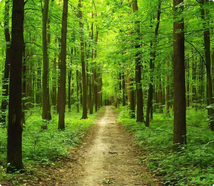 Животные и окружающая среда