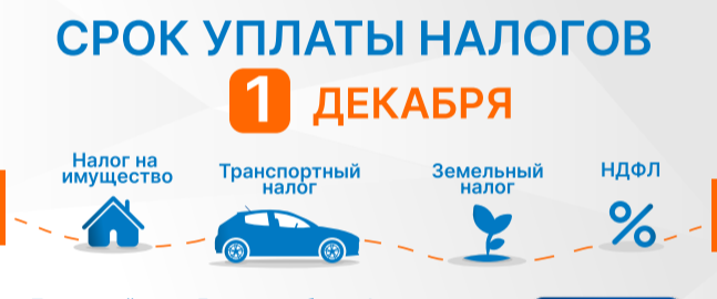 Информация для жителей Октябрьского района о порядке получения и уплаты налоговых уведомлений за 2024 год