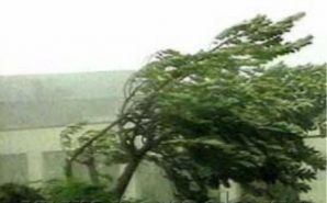 Синоптики прогнозируют в Барнауле ветреную погоду