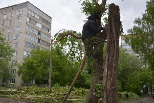 В районах Барнаула завершают работы по устранению последствий урагана