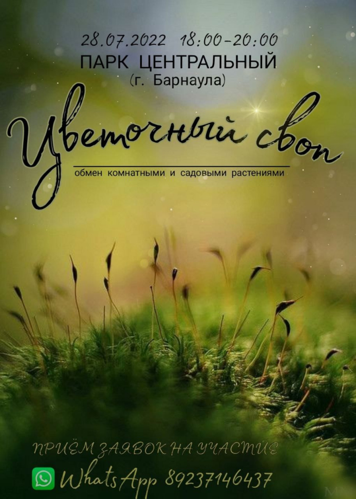 1c48c128-af00-4476-953b-19d143e4d3a0.jpg 1c48c128-af00-4476-953b-19d143e4d3a0.jpg