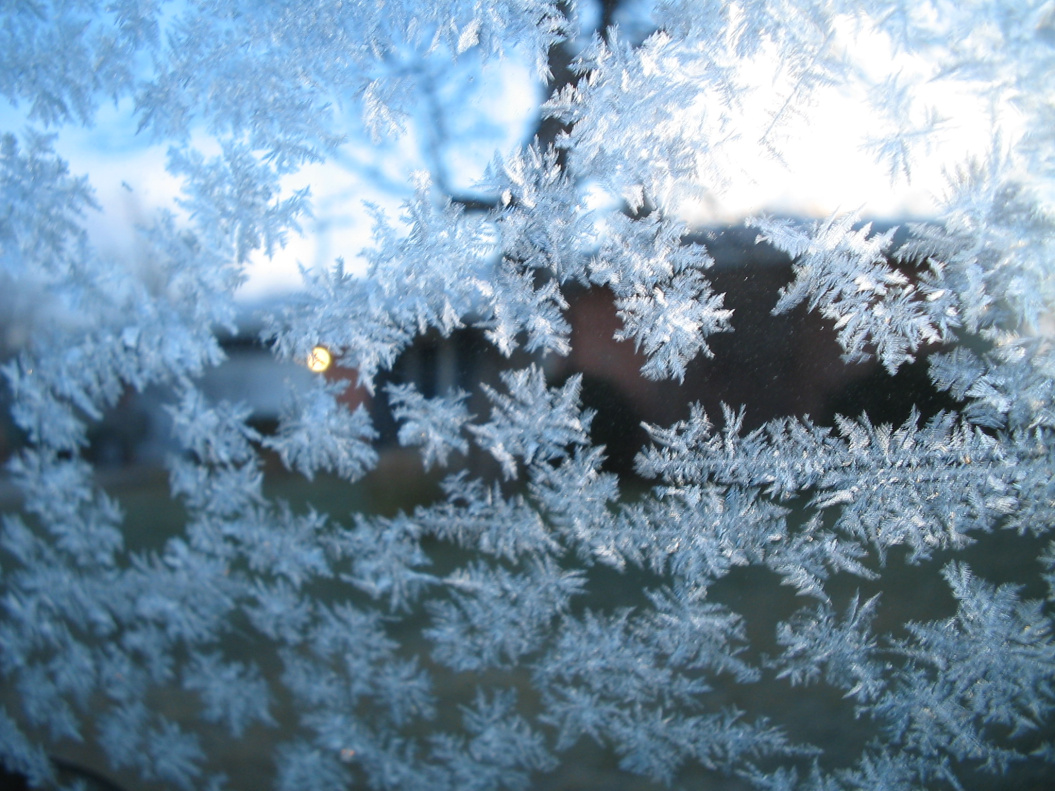 Штормовое предупреждение на 21-24 января