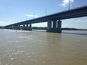 «Росводоканал Барнаул» выпустил в Обь 20 тысяч молоди сазана