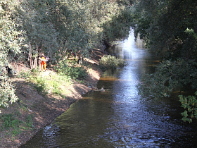 В Барнауле прошла экологическая акция «Чистые берега»