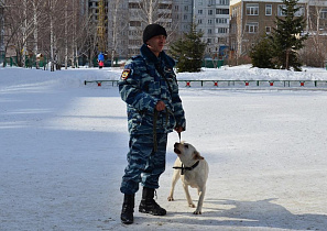 В Барнауле с участковыми избирательными комиссиями отработали действия в условиях ЧС