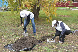 В столице края продолжается прием заявок на конкурс «За вклад в защиту окружающей среды города Барнаула»