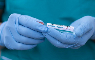 На 15 июня в Алтайском крае зарегистрировано 72 инфицированных коронавирусом, выздоровело 44 пациента