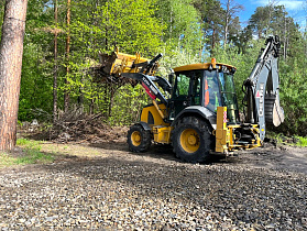На территории барнаульского лесничества ликвидировали свалку