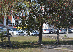 Студенты очистили сквер у железнодорожного вокзала