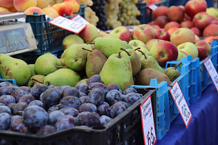 Барнаульцы приобрели на субботней ярмарке овощи и фрукты на 1,8 миллиона рублей