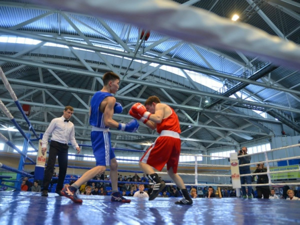 Барнаульский боксер – победитель всероссийского турнира Алексея Тищенко