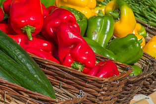 В Барнауле пройдут осенние продуктовые ярмарки