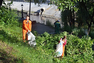К благоустройству Барнаула присоединились экологические отряды