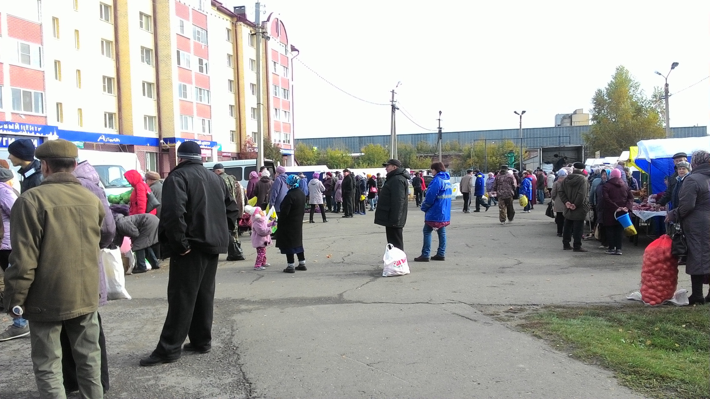 14 тонн картофеля купили барнаульцы на торговой ярмарке в Новосиликатном