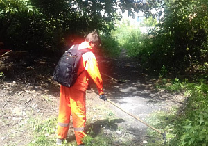 В Барнауле провели экологическую акцию в зеленой зоне на улице Кутузова