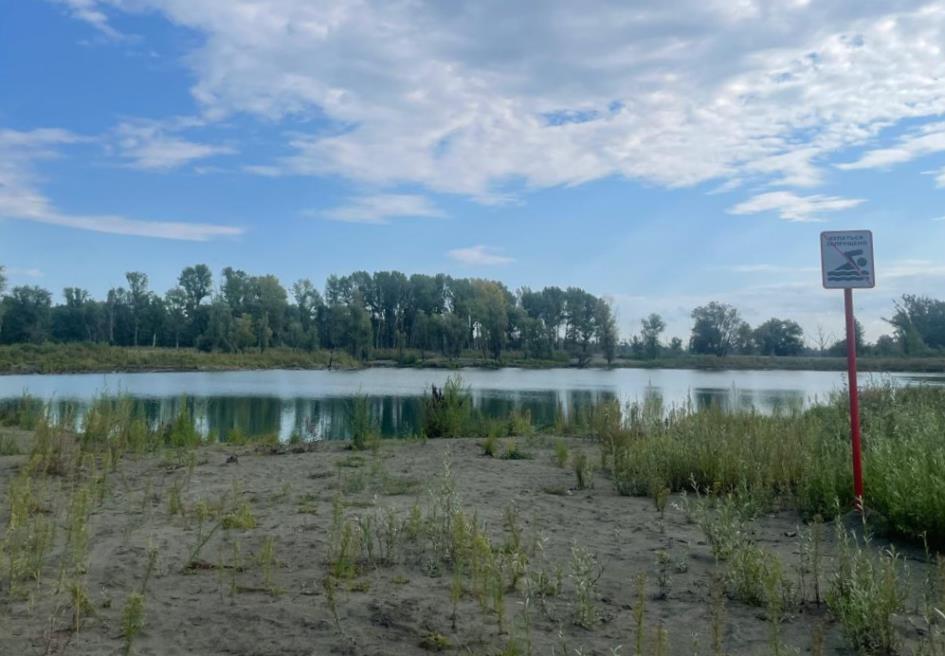 На территории Гребного канала провели межведомственное рейдовое мероприятие