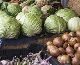 В пригороде Барнаула пройдут продуктовые ярмарки