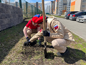 В школах Барнаула проходят мероприятия, посвященные Дню Победы 