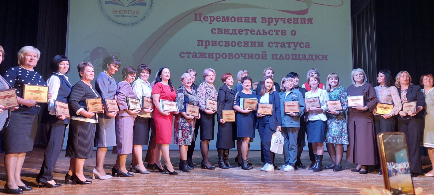 Педагогический фестиваль «Наставник в системе дошкольного образования Алтайского края» прошел в Барнауле