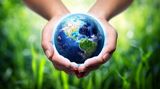 Онлайн-уроки по экологии предлагают пройти барнаульским школьникам