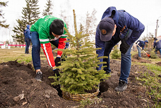 Барнаульская водяная компания ко Дню города запустила экопроект по озеленению краевой столицы