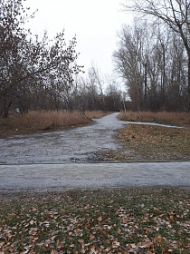 В барнаульском парке проложат «народную лыжню»
