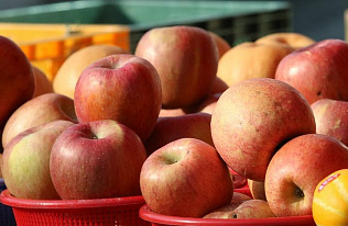 На субботних ярмарках барнаульцы приобрели продуктов на сумму более 9 миллионов рублей