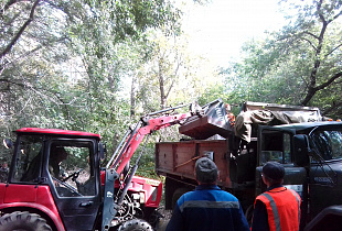 С территории парка «Юбилейный» вывезли более 150 мешков мусора