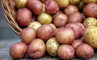 Более 650 тонн картофеля реализовали в рамках осенних продовольственных ярмарок «Сделано в Барнауле»