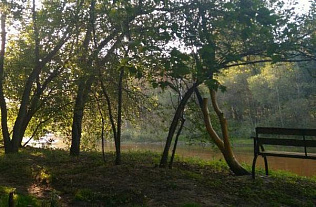 Жители станции «Ползуново» завершили первый этап благоустройства берега Барнаулки в рамках президентского гранта