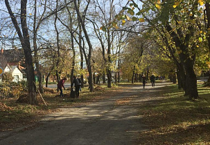 Барнаульские студенты очистили от мусора и листьев аллею на улице Смирнова