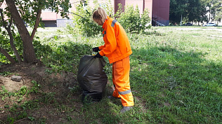 В Барнауле продолжаются экологические акции по уборке незакрепленных территорий