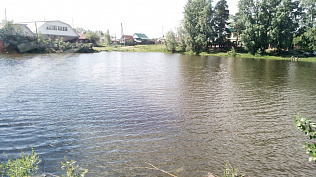 Рейды по «диким пляжам» проводят в Барнауле