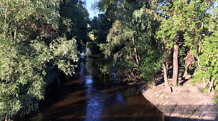 В краевой столице почистили берега реки Барнаулки