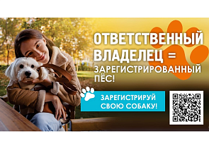 На следующей неделе мобильный пункт выездной регистрации собак будет работать в Октябрьском и Железнодорожном районах 