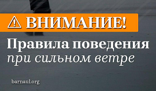 Барнаульцам напоминают правила безопасного поведения во время сильного ветра, обильного снегопада и метели