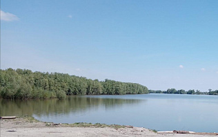 Барнаульцам напоминают о запрете парковки машин в водоохранной зоне