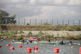 Барнаульские спортсменки завоевали шесть медалей на «Алтайской регате»