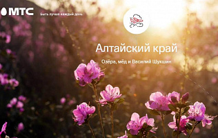 Для гостей Алтайского края начинает работу бесплатный виртуальный путеводитель