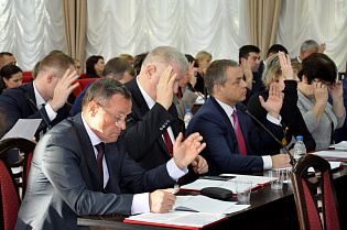 Депутаты Барнаульской городской Думы внесли изменения и дополнения в Правила землепользования и застройки краевой столицы