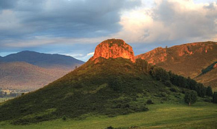 Барнаульский зоопарк готовит праздник к 20-летнию Тигирекского заповедника