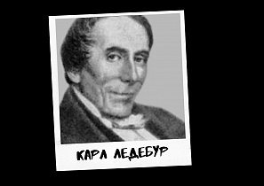 Проект к 290-летию Барнаула «Знай свой город». Карл Христиан Фридрих фон Ледебур