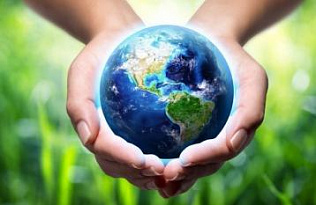 Заявки на конкурс «За вклад в защиту окружающей среды города Барнаула» начали принимать в краевой столице