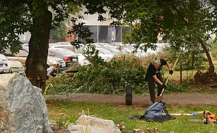 Более 350 участников зональной студенческой стройки «Барнаул-2019» трудятся на разных объектах города