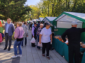 В парке «Изумрудный» в день города прошла краевая ярмарка малых производств