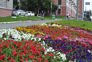 Общественная палата Барнаула обсудила вопросы благоустройства и озеленения города