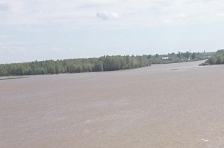 Барнаульцев приглашают присоединиться к акции по очистке берега Оби