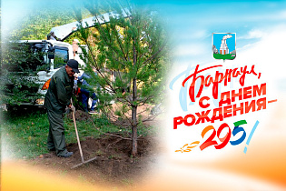 2025: цифры и факты. Более 4 тысяч деревьев высадят в этом году на территории Барнаула