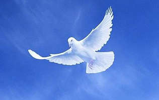 В Барнауле прошла акция «Голубь Победы»